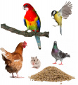 Корм для птиц и грызунов изображение на сайте Михайловского рынка