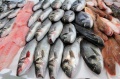 Рыба изображение на сайте Михайловского рынка