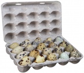 Яйцо перепелиное, домашнее, 20 шт  изображение на сайте Михайловского рынка