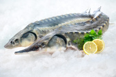 Осетр сибирский потрошеный с головой (слабой соли) изображение на сайте Михайловского рынка