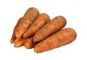 Морковь, свежий урожай изображение на сайте Михайловского рынка