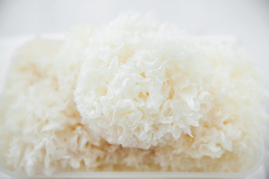 Древесный белый гриб изображение на сайте Михайловского рынка